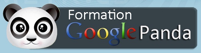 Formation algorithme Google Panda